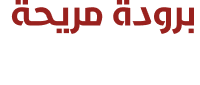 الرئيسية